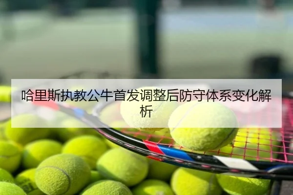 哈里斯执教公牛首发调整后防守体系变化解析